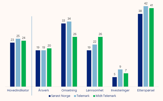 Graf for forventninger blant bedrifter i Midt-Telemark