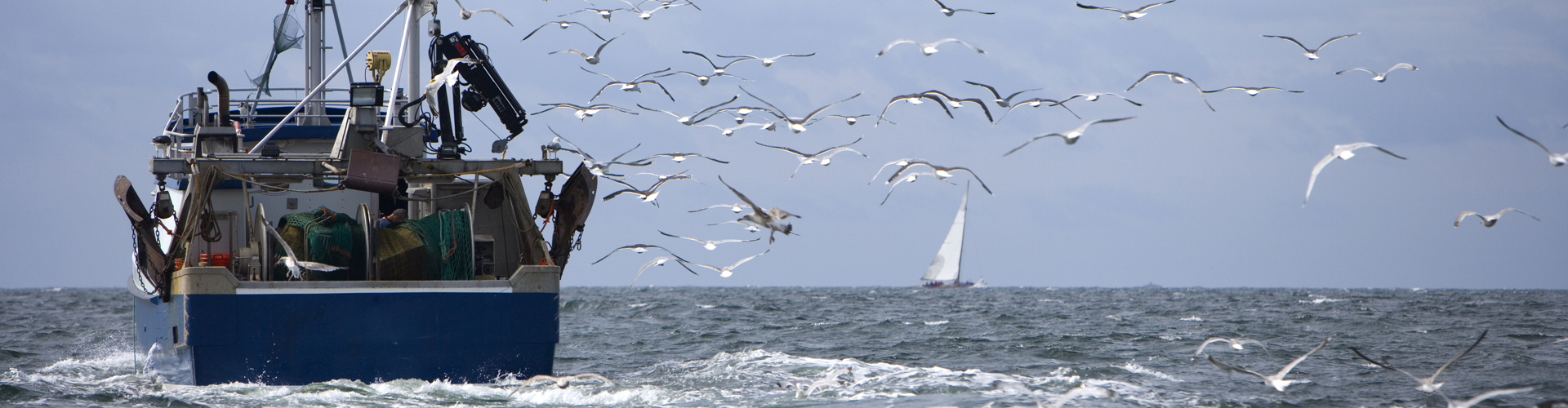 Ved Havet